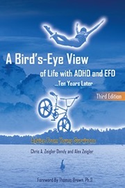 a bird's-eye view of life with adhd and efd ...ten years later