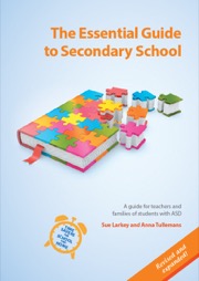 the essential guide to secondary school