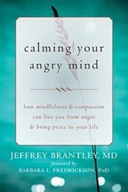 calming your angry mind