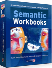 semantic workbooks