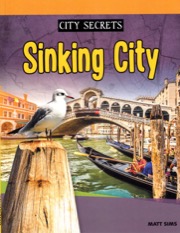 Sound Out City Secrets - Sinking City