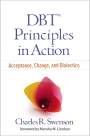 dbt principles in action