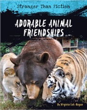 adorable animal friendships