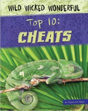 Wild Wicked Wonderful Top 10 Cheats