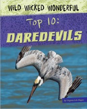 Wild Wicked Wonderful Top 10 Daredevils
