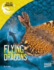 flying dragons