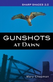 gunshots at dawn
