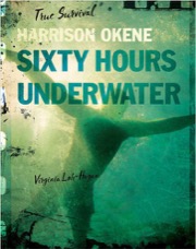 harrison okene - sixty hours underwater