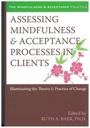 assessing mindfulness & acceptance processes in clients
